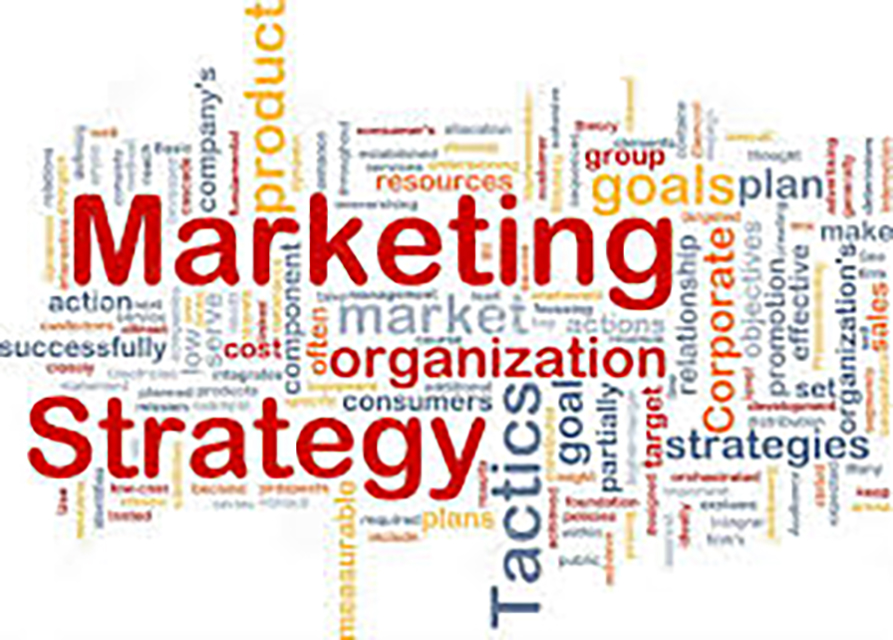 Marketing Firm vs. Marketing Agency: What's the Difference and Why Should I care? Bluetext